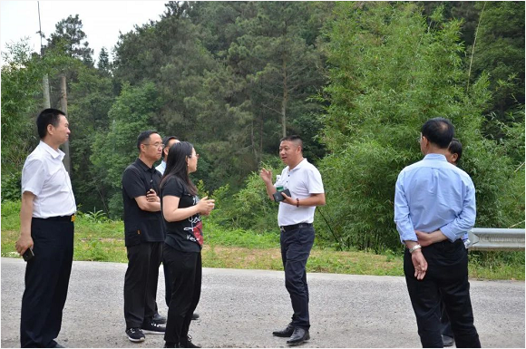 泸州云博手机官方网站_云博(中国)玻璃 泸州云博手机官方网站_云博(中国)玻璃