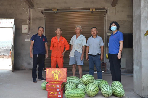 1628580526369411.jpg 2.jpg